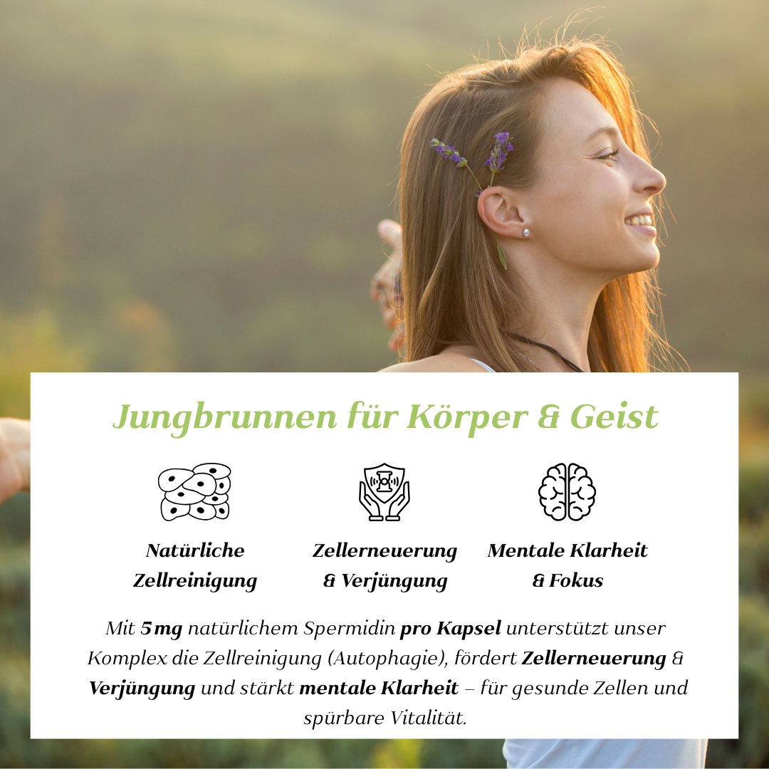 Spermidin aus Weizenkeimen