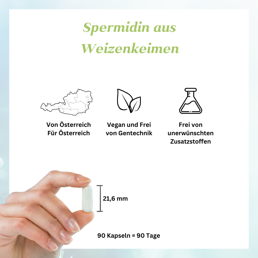 Spermidin aus Weizenkeimen