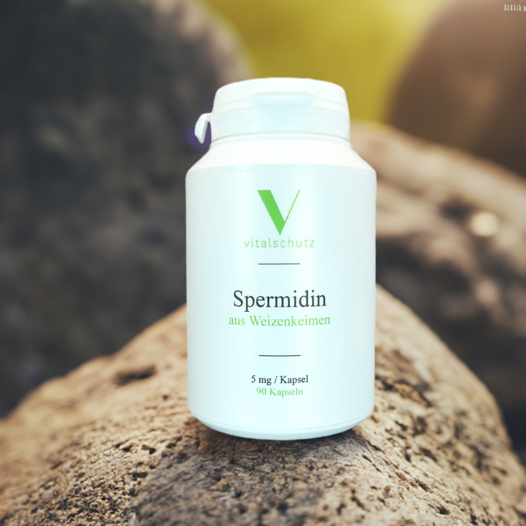 Spermidin aus Weizenkeimen