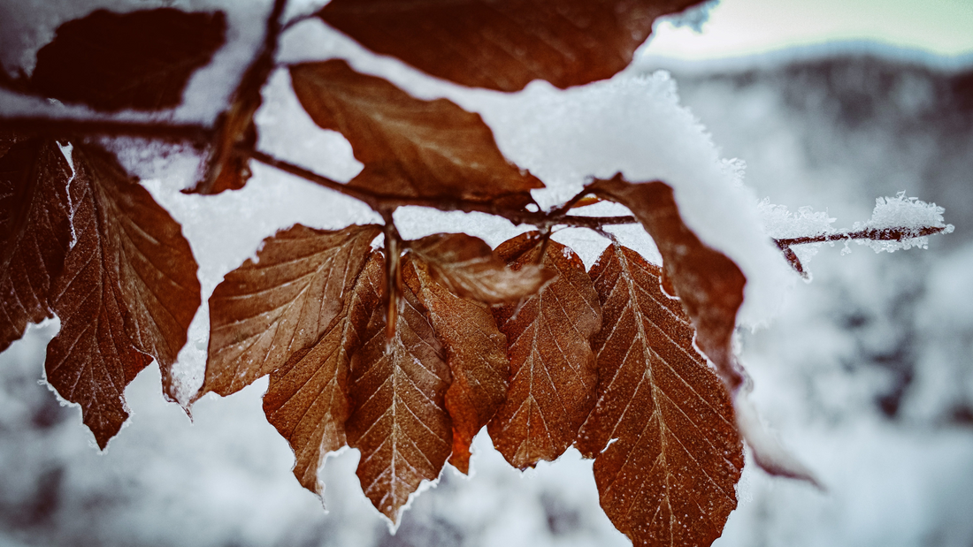 Gut gerüstet für Herbst & Winter