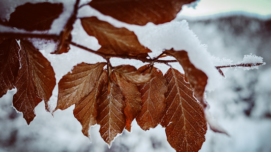 Gut gerüstet für Herbst & Winter
