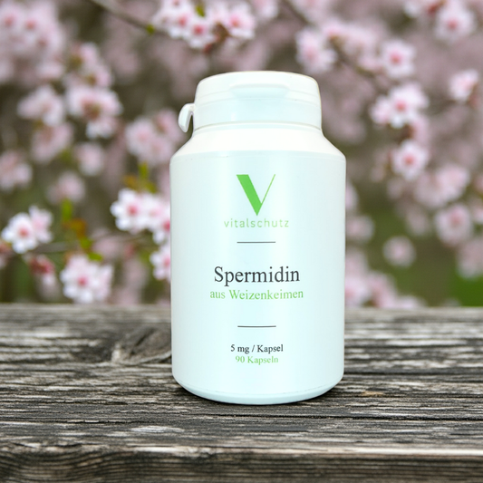 Spermidin aus Weizenkeimen