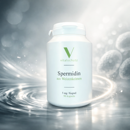 Spermidin aus Weizenkeimen